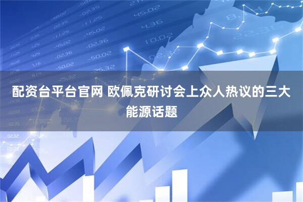 配资台平台官网 欧佩克研讨会上众人热议的三大能源话题